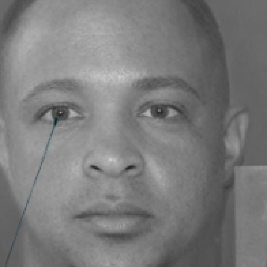 Screenshot 2026 02 27 121821