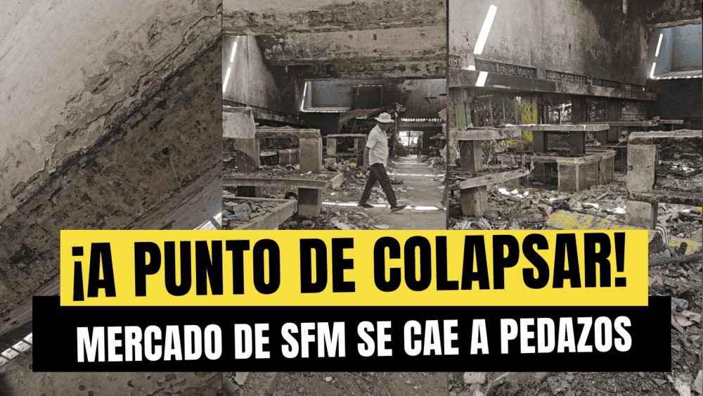 La situación del Mercado de SFM ha cruzado la línea de la crisis sanitaria. La acumulación de basura en las áreas de manipulación de alimentos es una bomba de tiempo para la propagación de enfermedades.