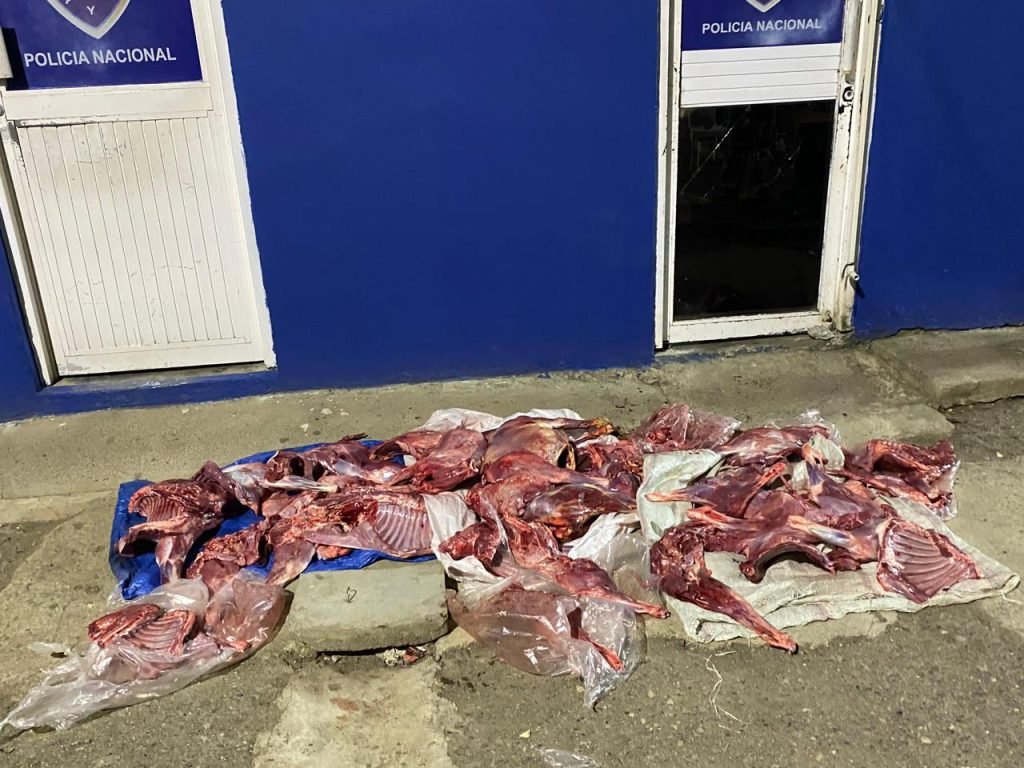 Apresan a un hombre robando chivos dos logran escapar en la Yagua Mao. Foto Gullen Peralta