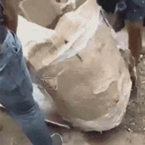 Encuentran mujer muerta dentro de una caja en San Cristóbal