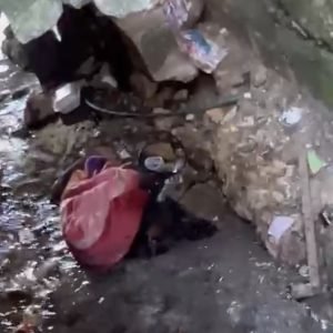 Hallan sin vida a niña en Los Girasoles; investigan circunstancias del caso