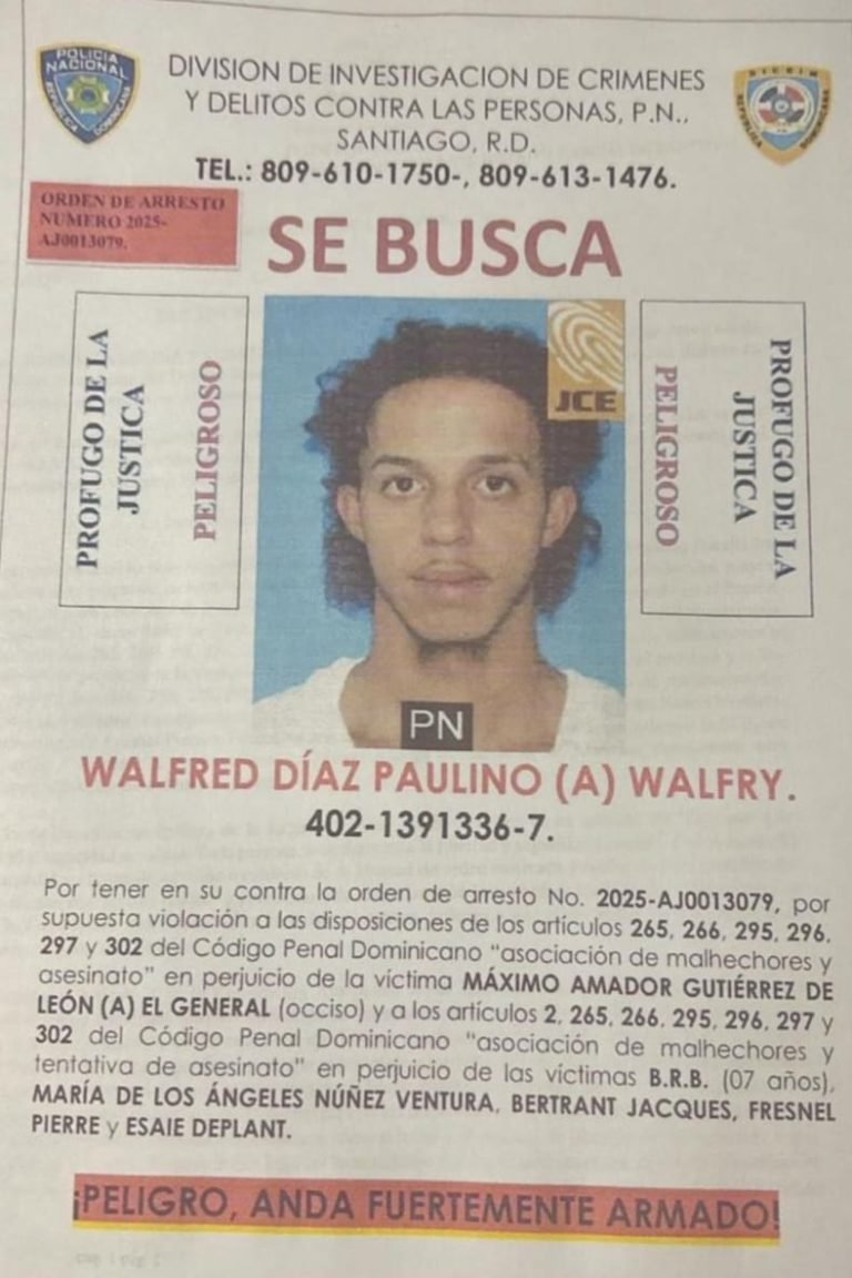 Capturan en La Vega a “Walfry”, incluido entre los más buscados de Santiago