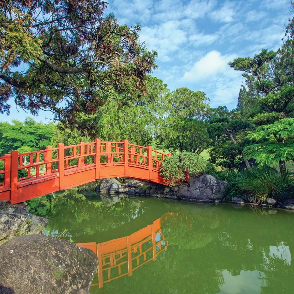 Botanical Garden 005