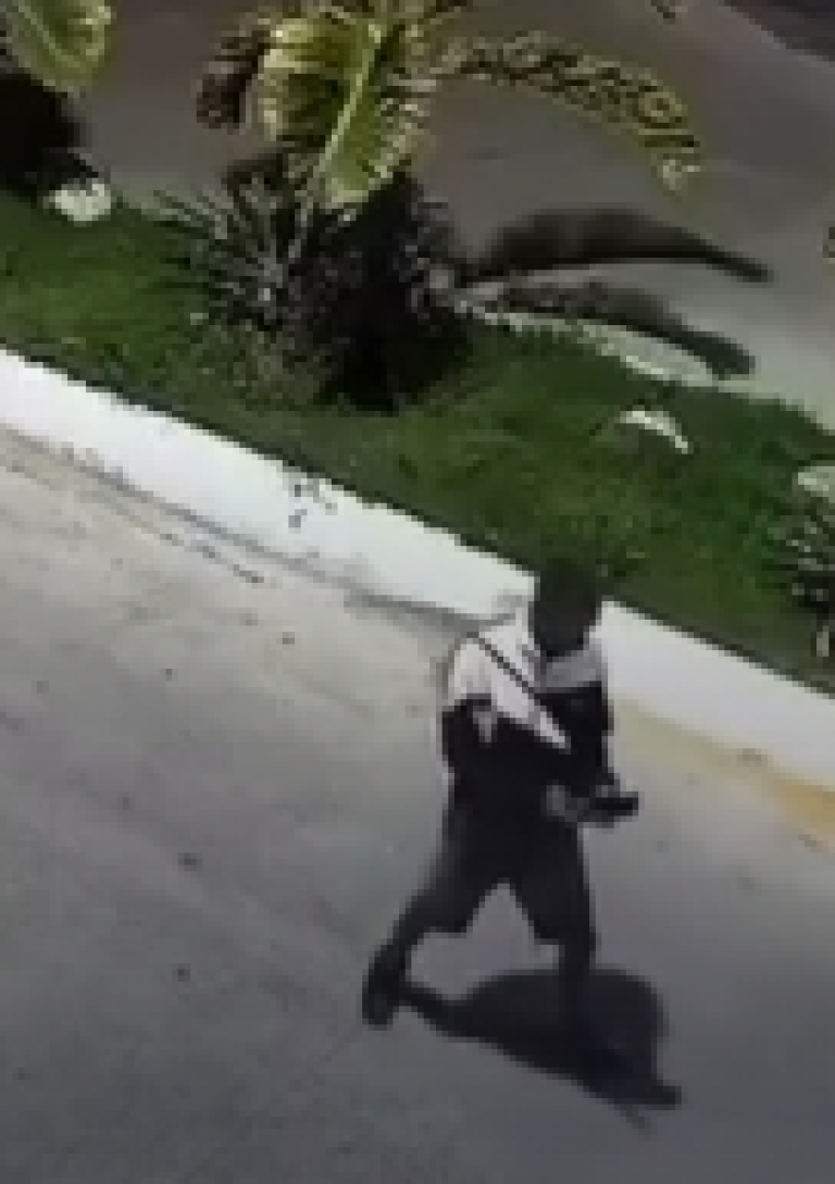 Policía aclara ubicación de asalto viral en redes sociales en Santo Domingo