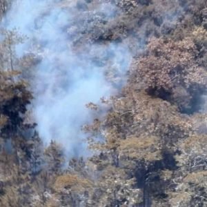 Incendio en la Sierra de Bahoruco afecta más de 1,200 hectáreas en parque nacional