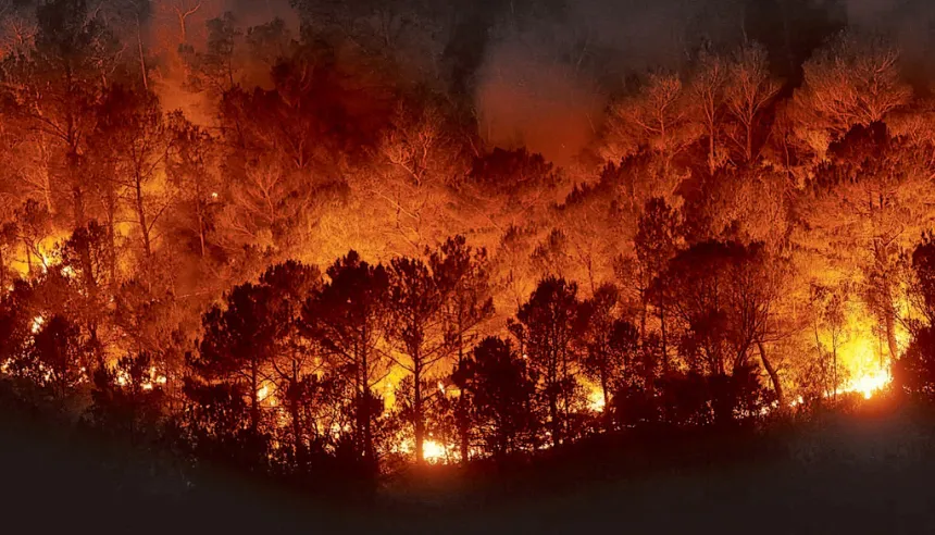 Incendio forestal