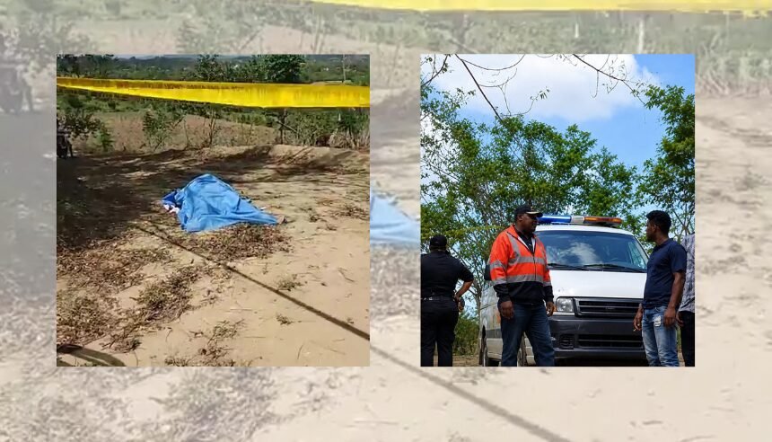 Cuerpo incinerado en La Vega: Hallan a mujer desaparecida