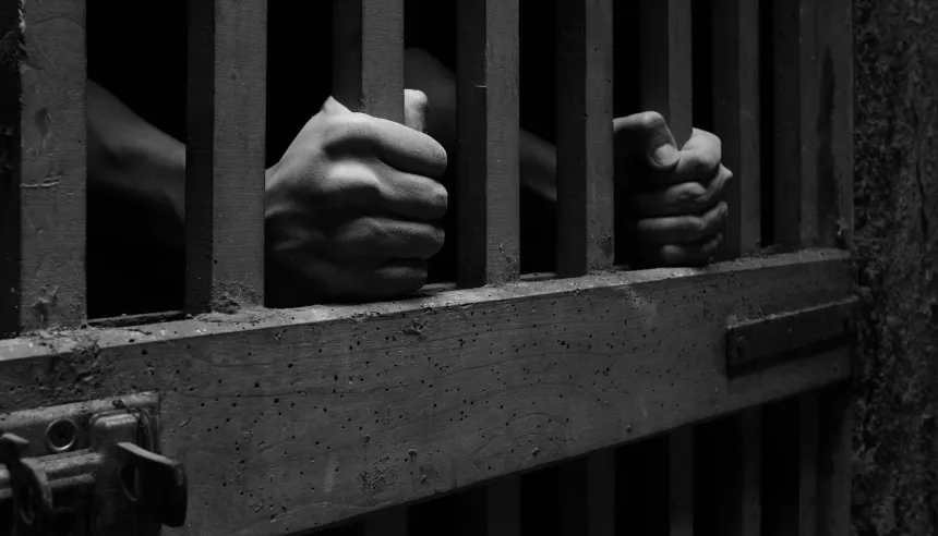 Evidencias ocupadas por agentes del Dintel durante operativos en Sabana Perdida.