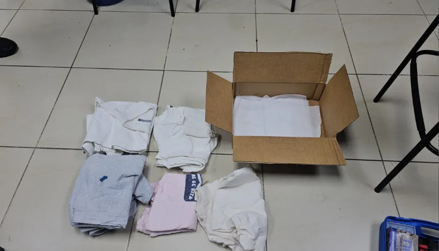 Agentes de la DNCD e inspectores procesando evidencias en una empresa de envíos internacionales en el Distrito Nacional.