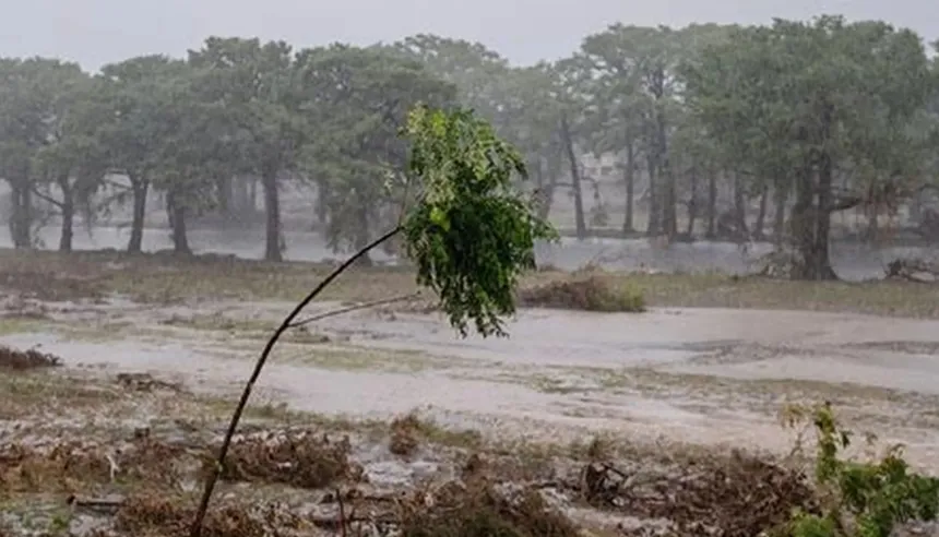 Océano Pacífico calentado por el fenómeno de El Niño y arrecifes de coral afectados.