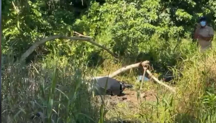 Comunidad de Pescadero en Nagua, provincia María Trinidad Sánchez, donde fue hallado el cadáver.