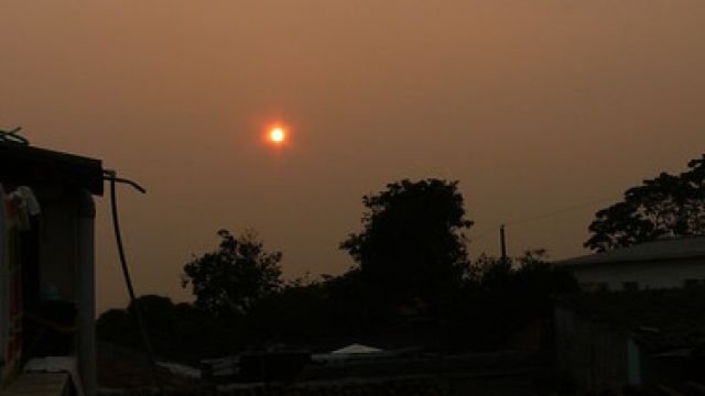 2501229368_d2ddba6d91.jpg