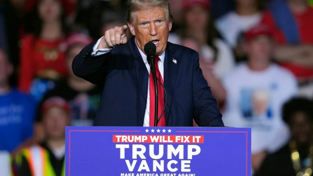 image-13.png