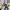 image-16.png
