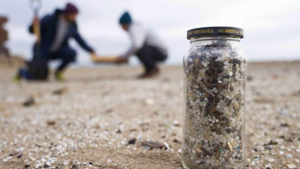 microplasticos-focus-0-0-896-504.jpg