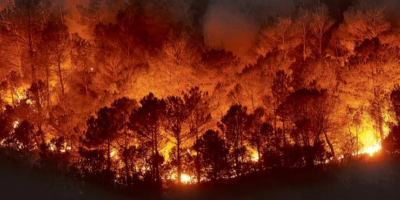 Incendio forestal