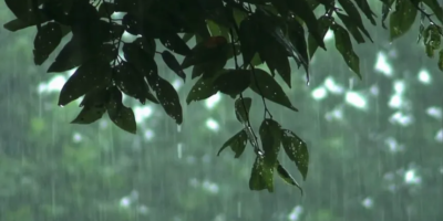 Indomet aguaceros calor vaguada