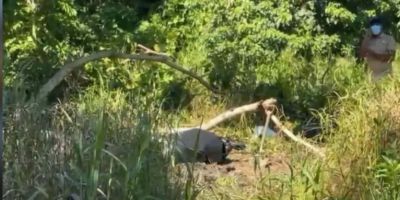 Comunidad de Pescadero en Nagua, provincia María Trinidad Sánchez, donde fue hallado el cadáver.